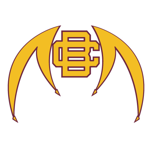 Bethune Cookman Wildcats 2010 Pres Alternate Logo 2 Iron-on Transfers (Heat Transfers) N4000